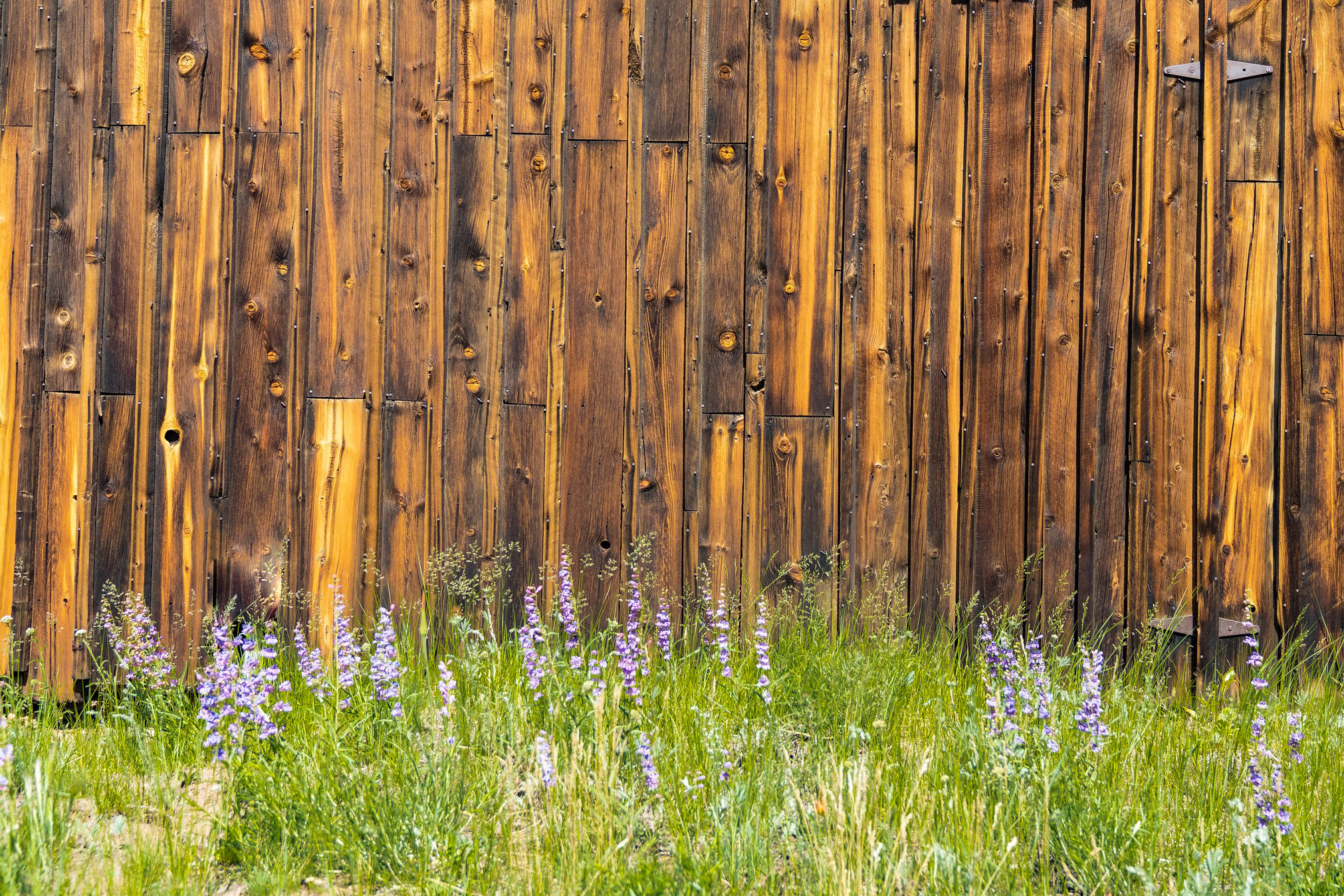 Weathered old barn wood siding